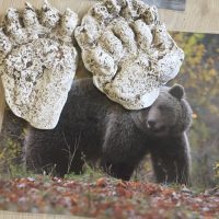 3. dan – Tabor v Kočevju